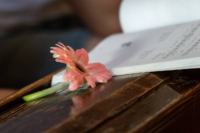 2025_07_03_bogar boly_30.jpg